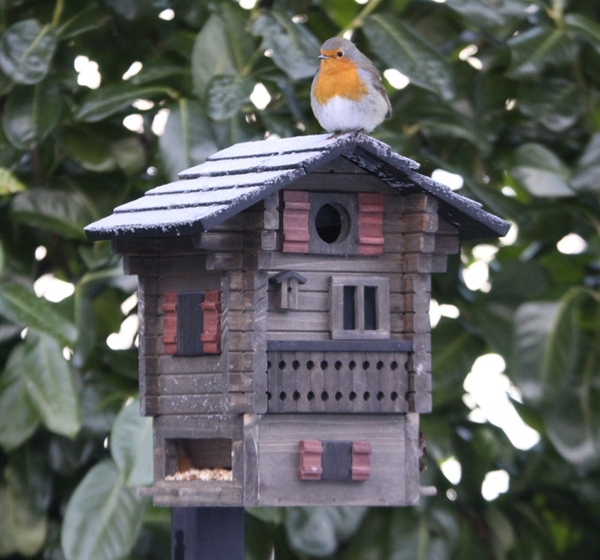 Vogelhuisje Fjällstugan 2-in-1 Lariks-hout | Wildlife Garden