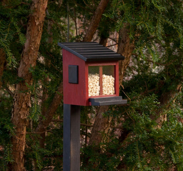 Ekorrmatare rood eekhoornkastje
