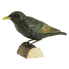 Vogelbeeldje Spreeuw – Handgesneden Houten Decoratievogel | DecoBird Wildlife Garden – foto 2