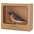 Vogelbeeldje Gekraagde Roodstaart – Handgesneden Houten Decoratievogel | DecoBird Wildlife Garden – foto 3