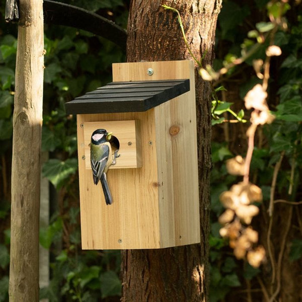 Nestkast Kolding Zwart Dak 32mm | Vogelbescherming