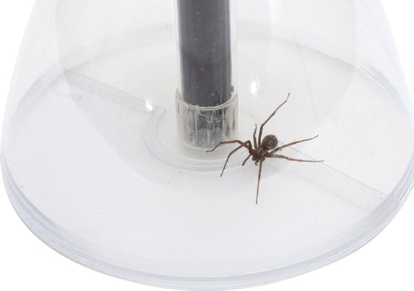 Spinnenvanger Bug Away