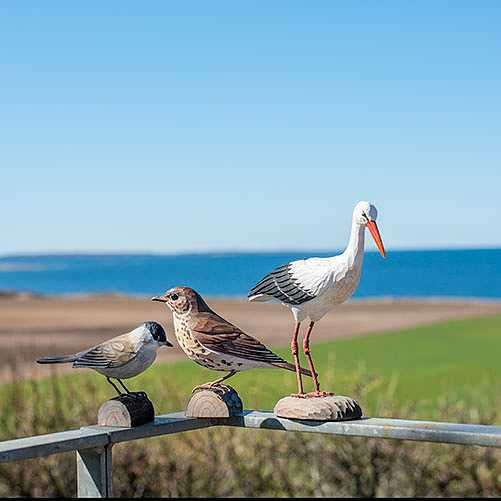 DecoBird - ooievaar