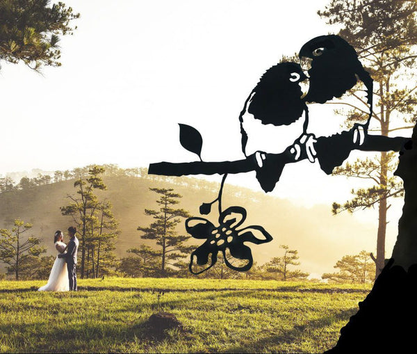 Birdwise - Lovebird Agapornis dwergpapegaai