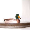 Vogelbeeldje Wilde Eend – Handgesneden Houten Decoratievogel | DecoBird Wildlife Garden