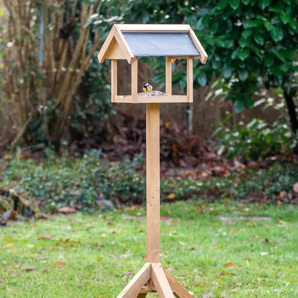 Voederhuis op paal Georgetown