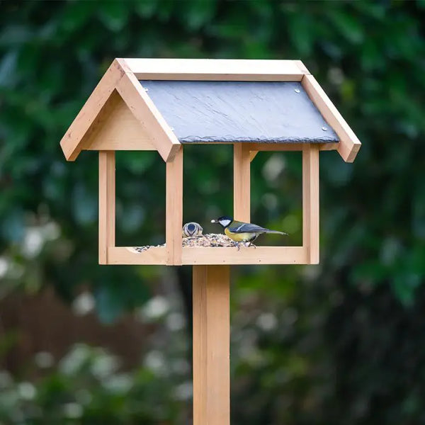 Voederhuis op paal Georgetown