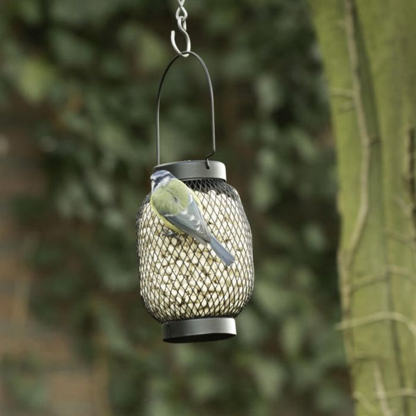 Pindasilo Berlijn zwart