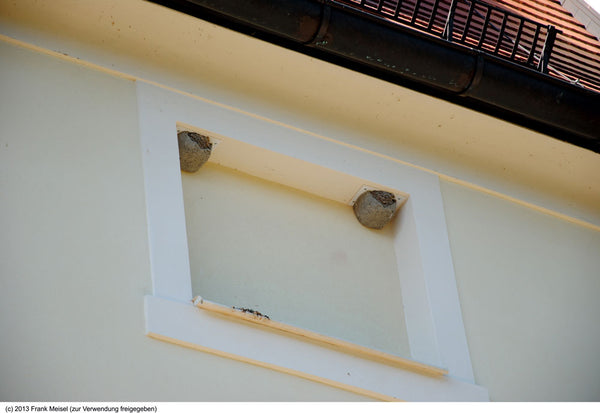 Huiszwaluw-aanbouwnest 13B – los kunstnest – foto 2
