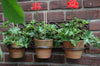 Bloempothanger Klassiek voor 3 Potten – Wandrek Victoriaans | Esschert Design