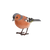 Vink