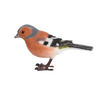 Vink