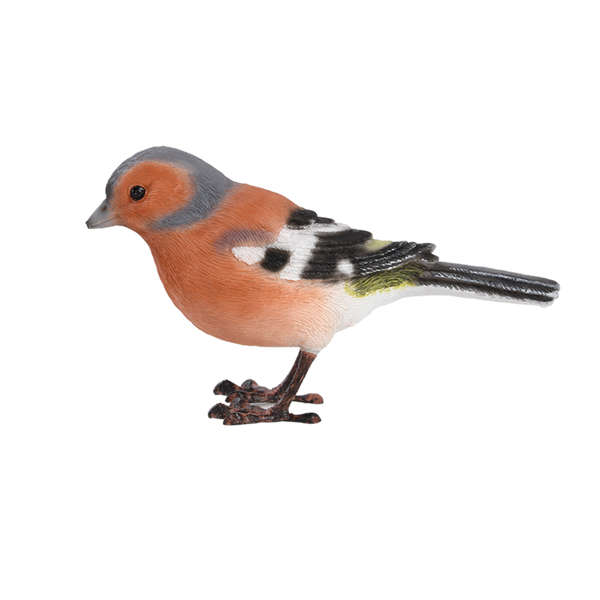 Vink