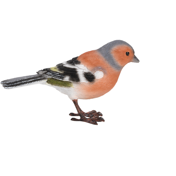 Vink
