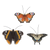 Vlinder S