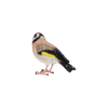 Putter
