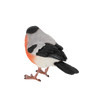 Goudvink