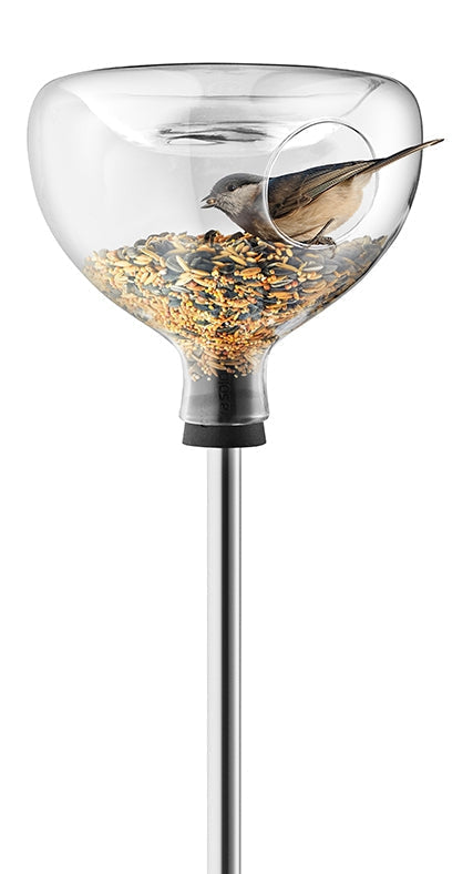Glazen vogelvoederbak met vogelbad