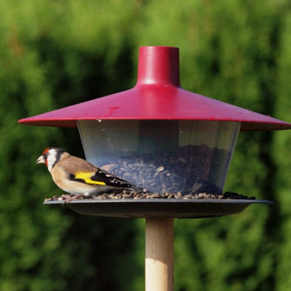 Voederhuis Finch wijnrood