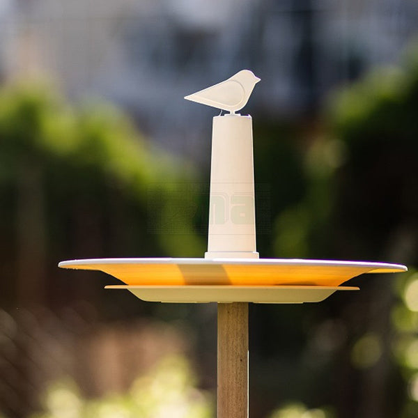 Vogelbad Finch Ivoor