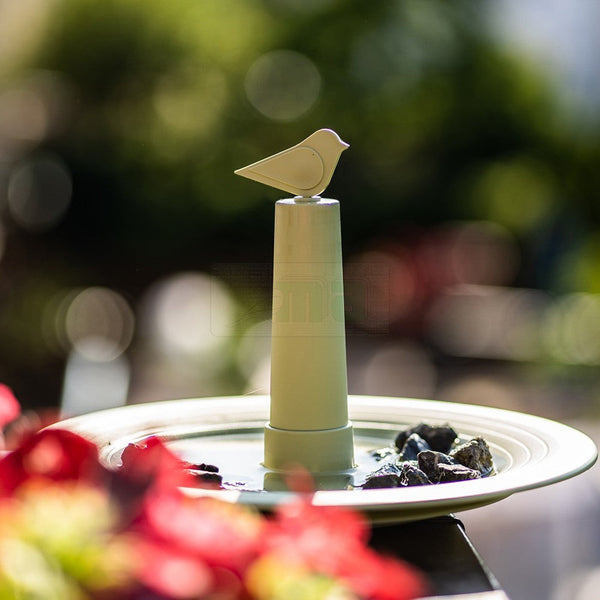 Vogelbad Finch Olijfgroen