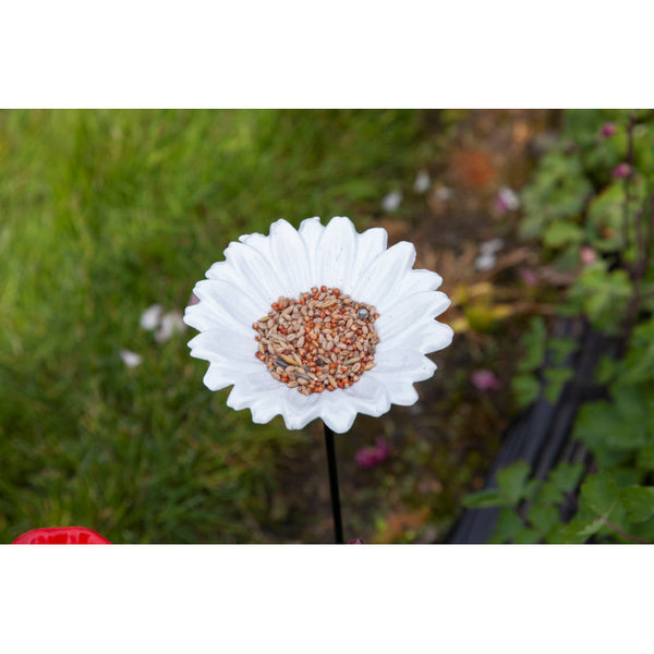 Gardman voederschaal/vogelbad margriet op pin