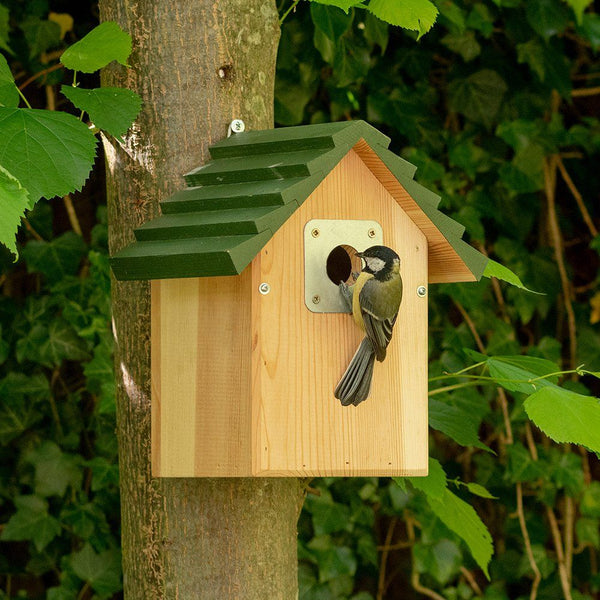 Koolmees Nestkast Vail Modern 32mm | CJ Wildlife