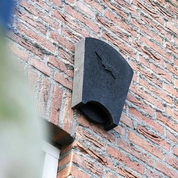 Vleermuizenkast Beaumaris