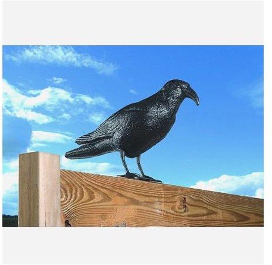 Vogelverschrikker Kraai voor Balkon en Moestuin – Duivenverjager | Esschert Design – foto 5