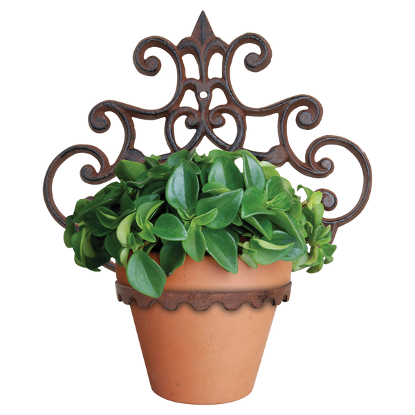 Plantenhanger 1 pot