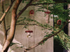 elho b's cosy collectie vogelproducten