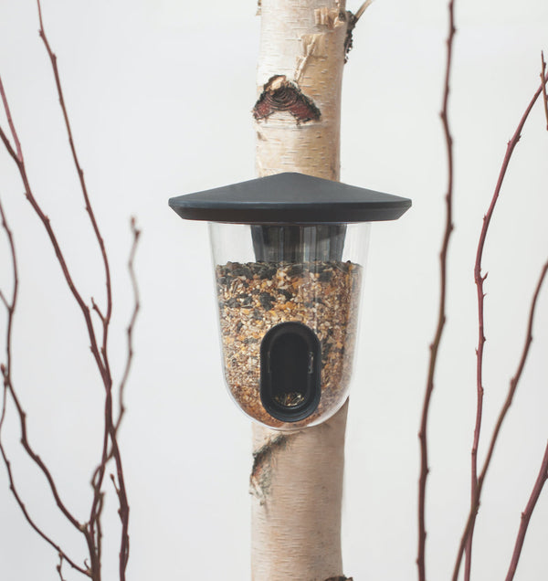 Vogelvoedersilo FeedR Transparant Antraciet | SingingFriend