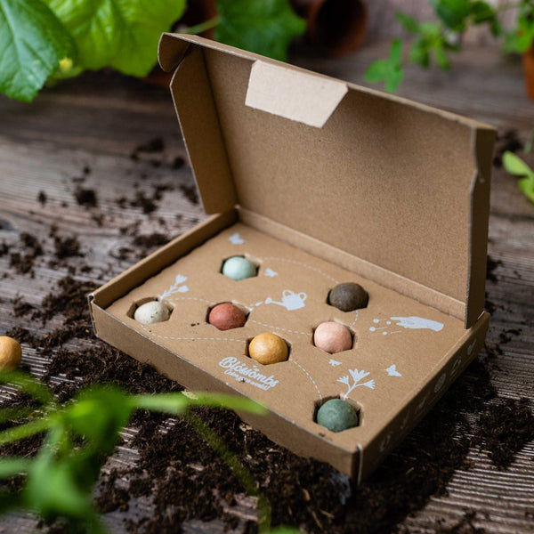 Blossombs - Giftbox small