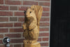 Houtsculptuur eekhoorn op stam