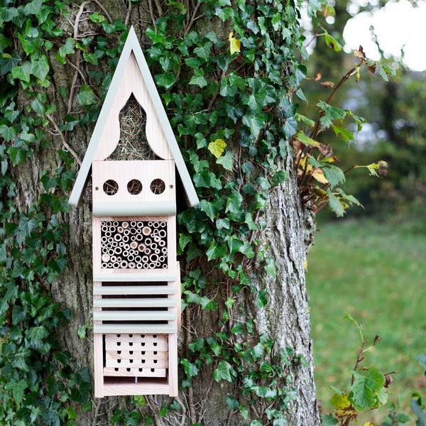 Insectenstudiecentrum