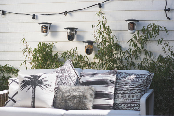 SingingFriend -FeedR transparant antraciet