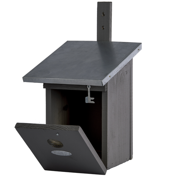 Nestkast koolmees Grijs
