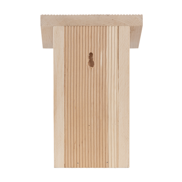 Winterkoning nestkast