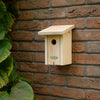 Winterkoning Nestkast in Cadeaudoos | Esschert Design – foto 2