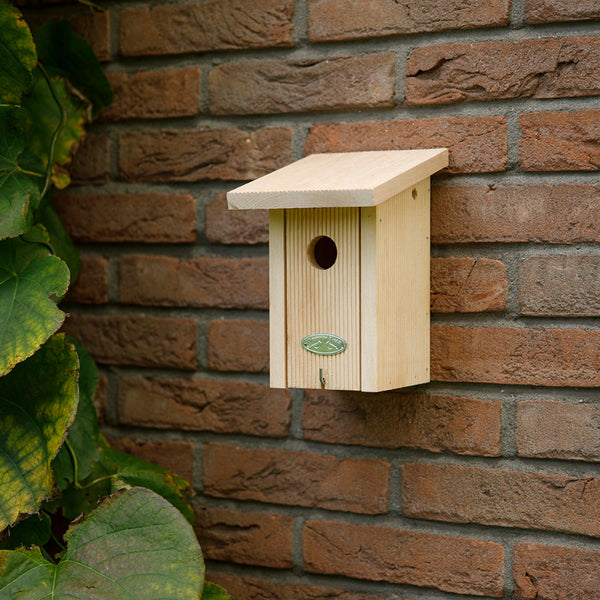 Winterkoning Nestkast in Cadeaudoos | Esschert Design – foto 2