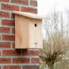 Koolmees Nestkast in Cadeaudoos | Esschert Design – foto 6
