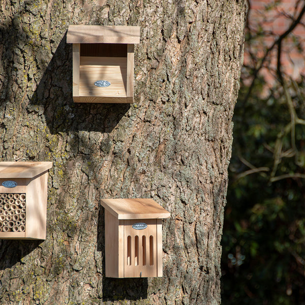 Roodborst Nestkast in Cadeaudoos | Esschert Design