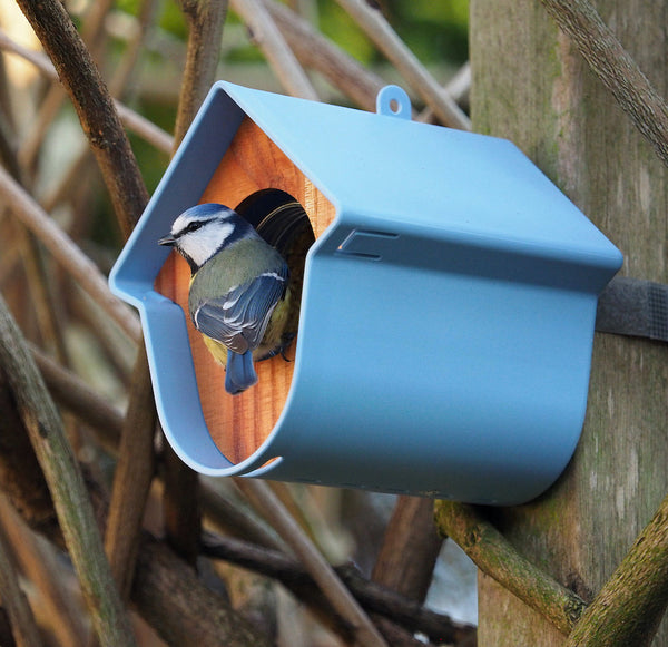 SingingFriend -Pindakaaspothouder Evie - blauw