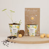 Grow Kit "Hoera!" met Zonnebloem Mix Zaadbommetje