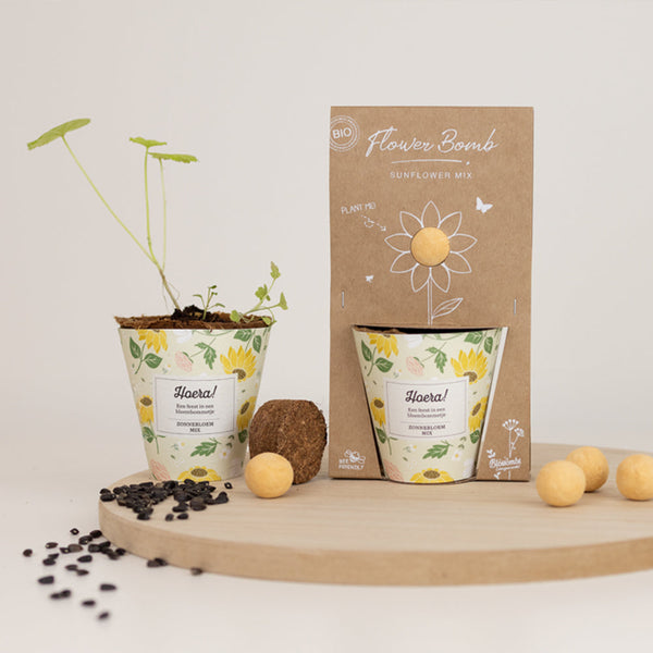 Grow Kit "Hoera!" met Zonnebloem Mix Zaadbommetje