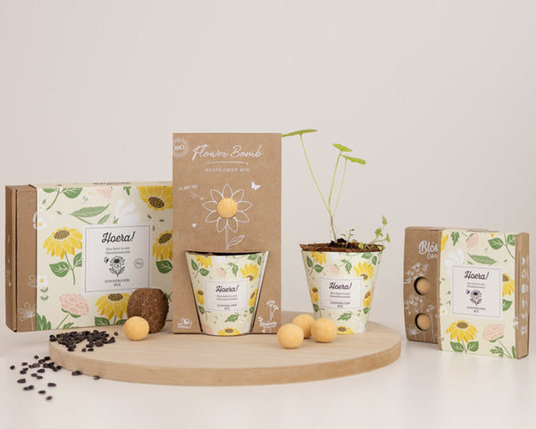 Gift Box Small "Hoera!" met 7 Zonnebloem Mix Zaadbommetjes