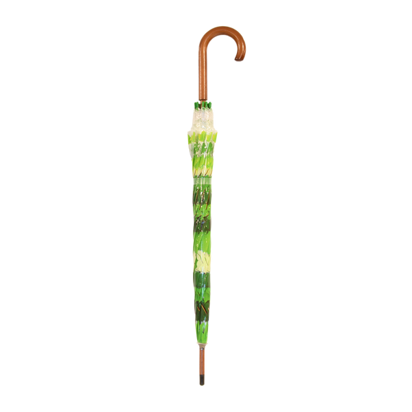 Paraplu boomkroon