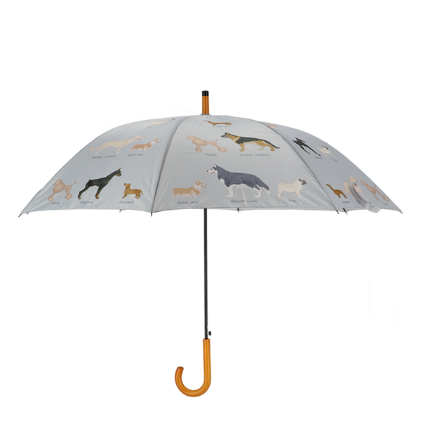 Paraplu hondenrassen