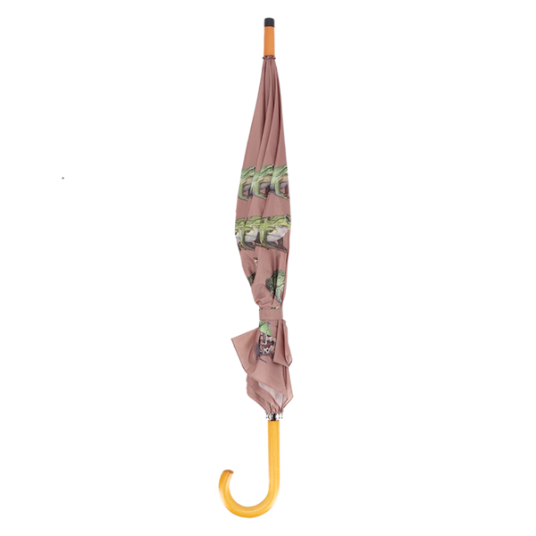 Paraplu kikkersoorten