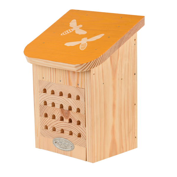 Diapositief bijenhuis